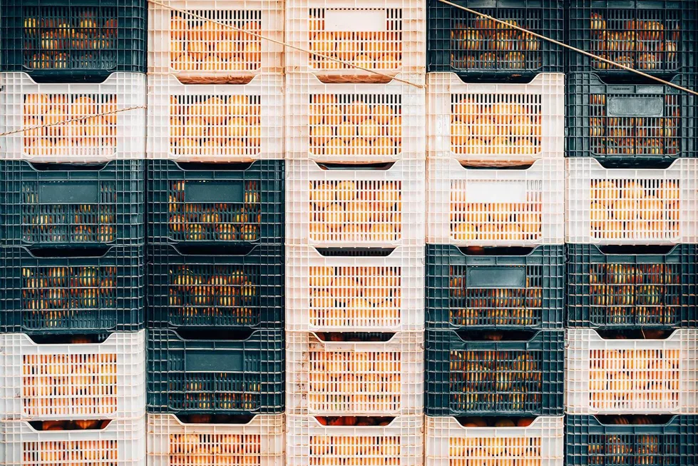 Alimentation & boissons